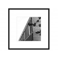 Авторская арт-фотография живое-мертвое #1 (george rouchin photography) черный 35x35 см.
